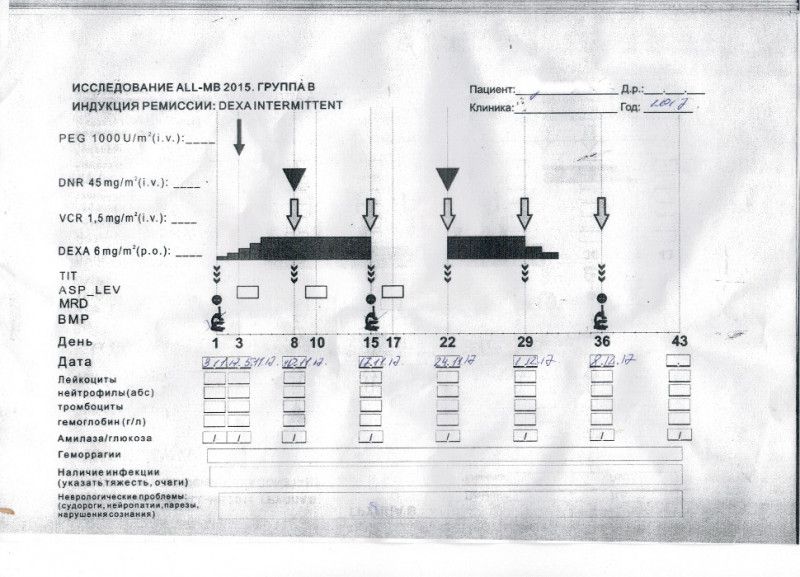 Протокол лечения лейкоза. Протокол лечения острого лимфобластного лейкоза 2015. Исследование all-MB 2015 группа 1221-IMR. Протокол МБ 2015 олл у детей. Протокол all-MB 2015 лечения лейкоза.