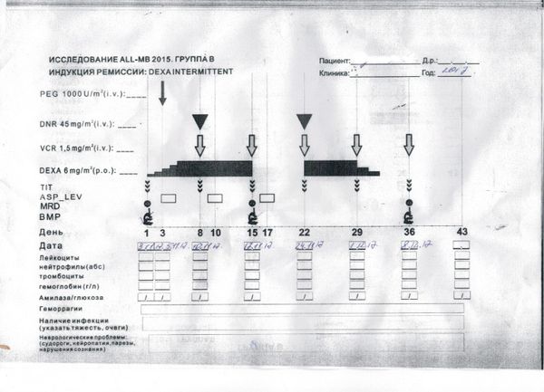 Протокол лечения острого лимфобластного лейкоза